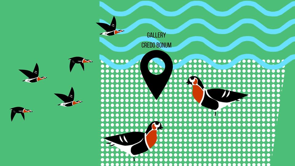 The flyway of the Red-breasted Goose